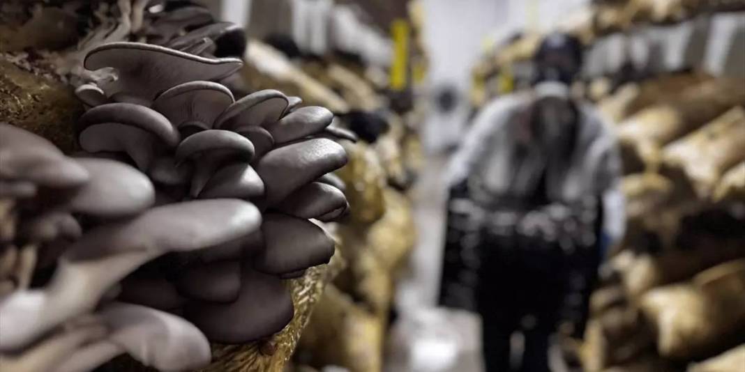 Genç girişimci üretiyor, 12 ay ürün alıyor: Zamanla ihracata geçmeyi hedefliyor 8